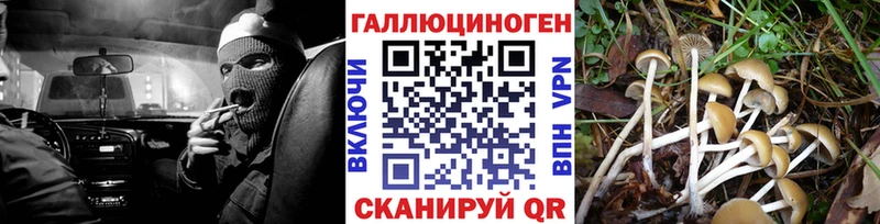 Псилоцибиновые грибы GOLDEN TEACHER  Купить  Жигулёвск 